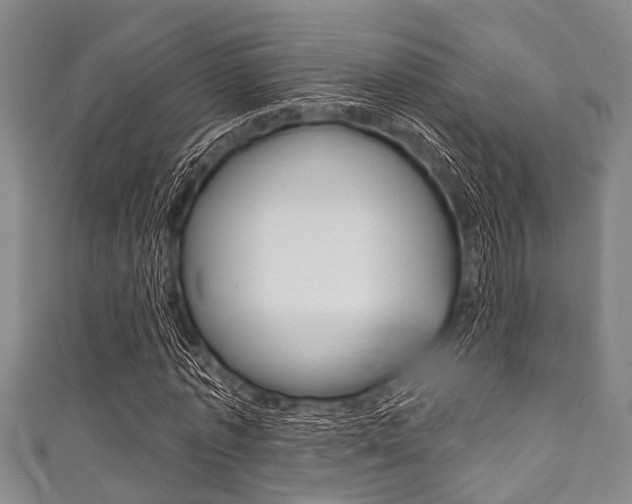 X0000111790773200907230948