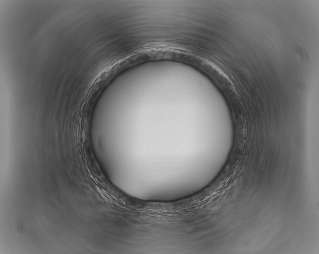 X0000111790775200907230948