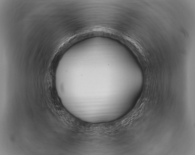 X0000111790776200907230948