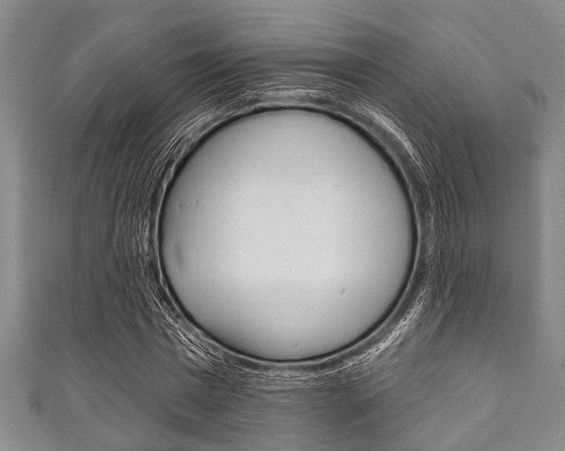 X0000111790777200907230948