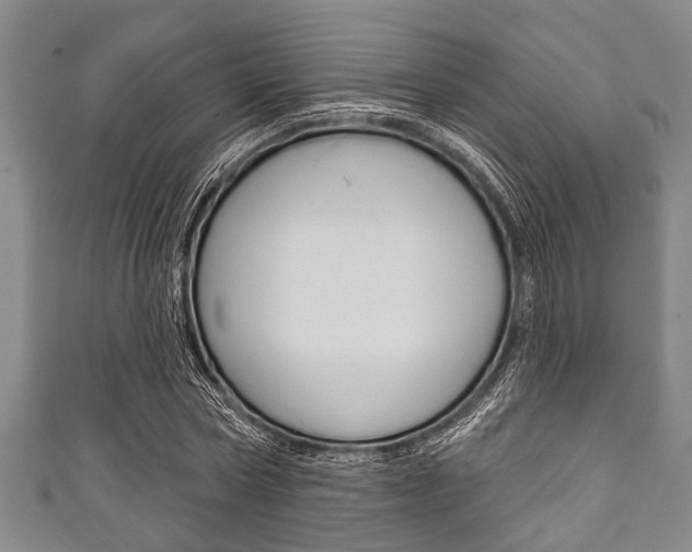 X0000111790778200907230948