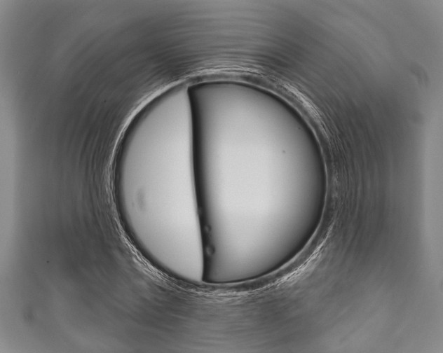 X0000111790779200907230948