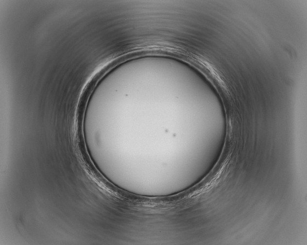 X0000111790780200907230948