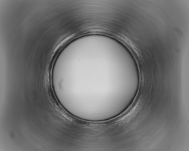 X0000111790782200907230948
