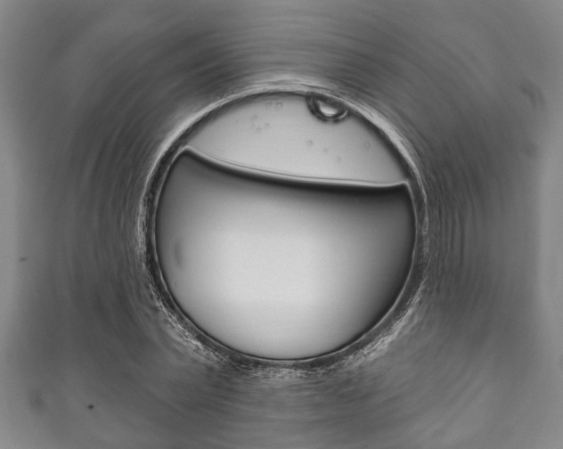 X0000111790783200907230948