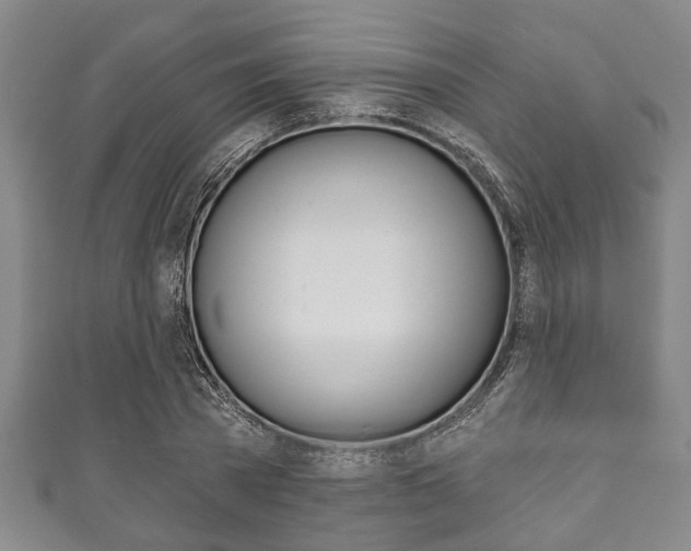 X0000111790785200907230948