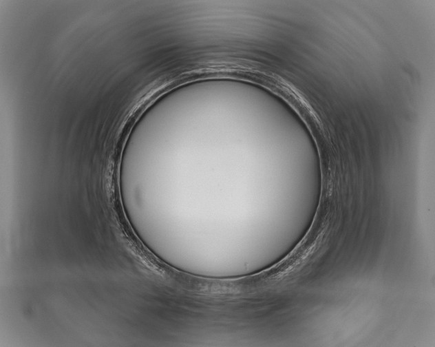 X0000111790786200907230948