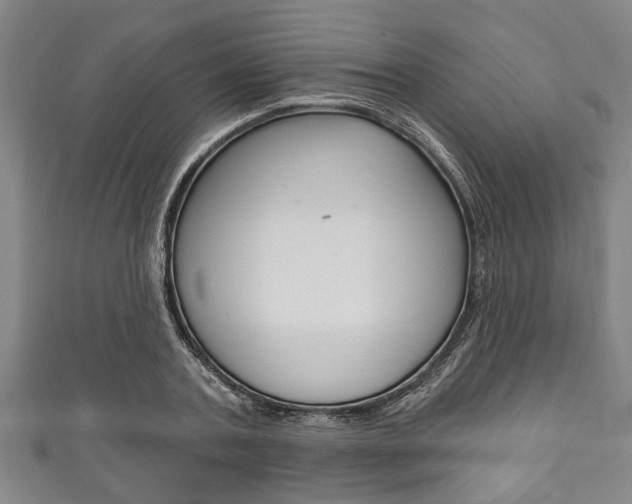X0000111790787200907230948