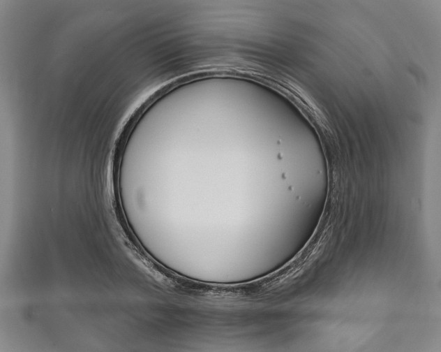 X0000111790788200907230948