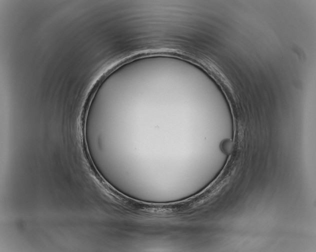 X0000111790789200907230948