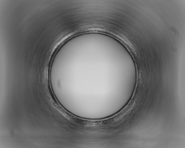 X0000111790790200907230948