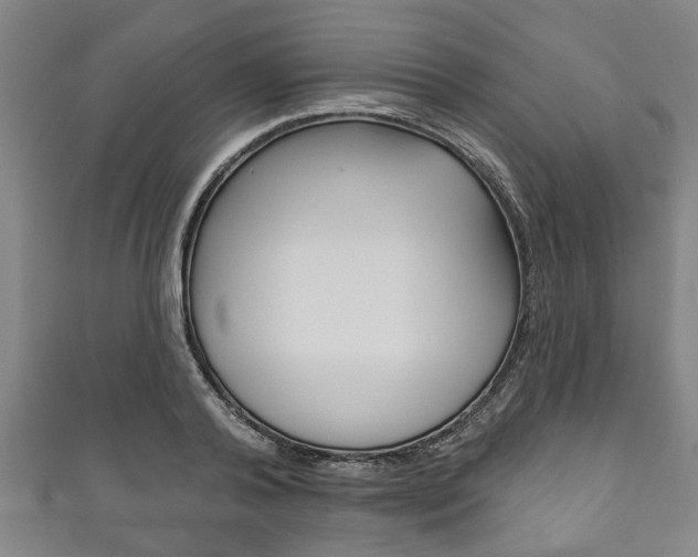 X0000111790792200907230948
