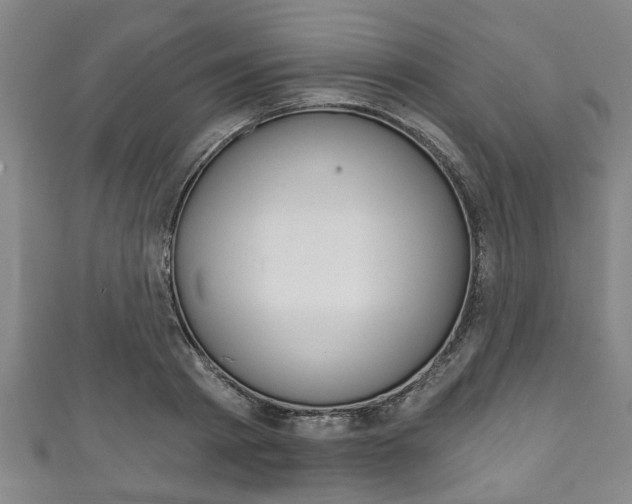 X0000111790793200907230948