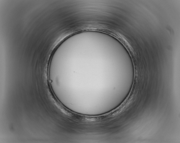 X0000111790794200907230948