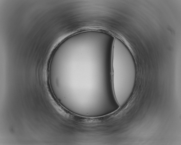 X0000111790795200907230948