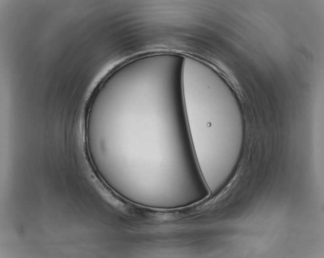 X0000111790796200907230948