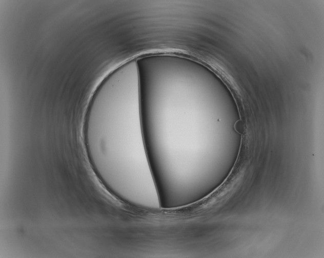 X0000111790797200907230948