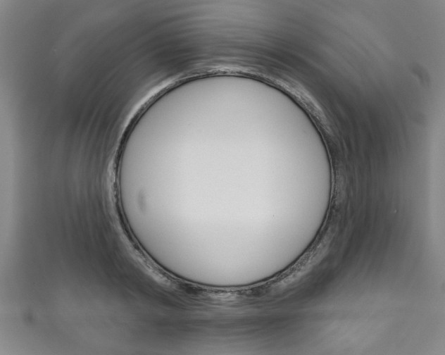 X0000111790798200907230948