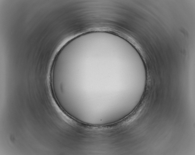 X0000111790803200907230947