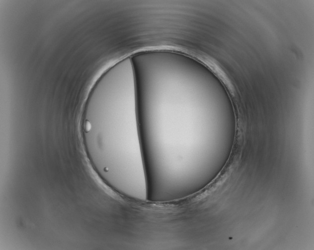 X0000111790805200907230947