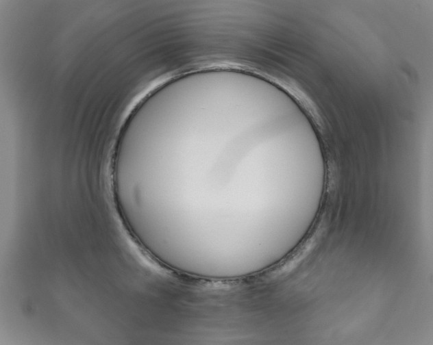 X0000111790806200907230947