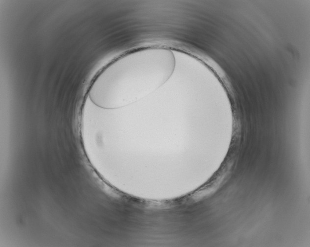X0000111790807200907230947