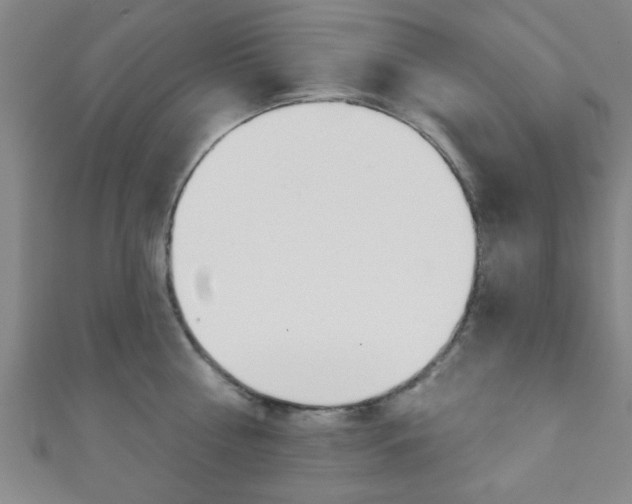 X0000111790810200907230947