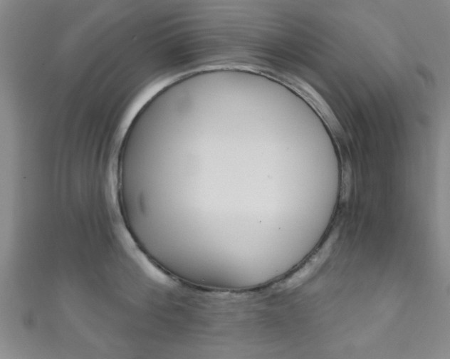 X0000111790812200907230947