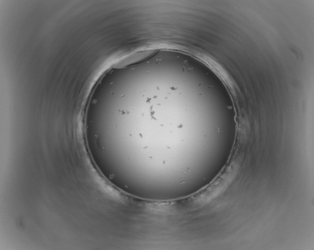 X0000111790813200907230947