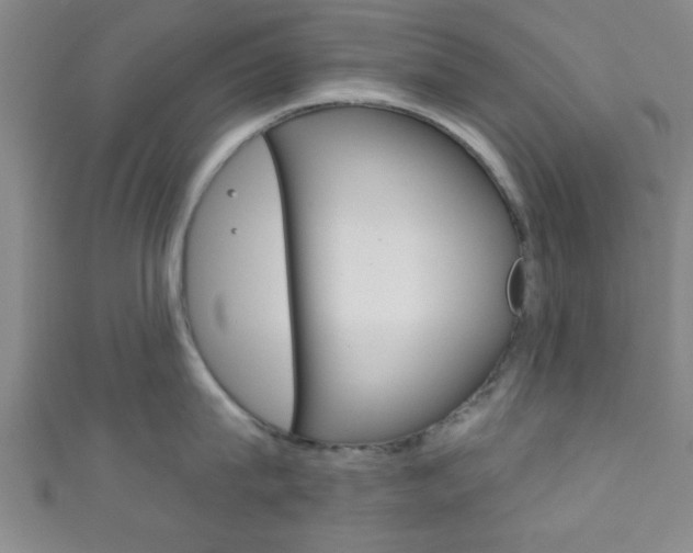 X0000111790815200907230947