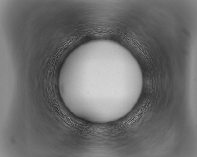 X0000111790817200907230947