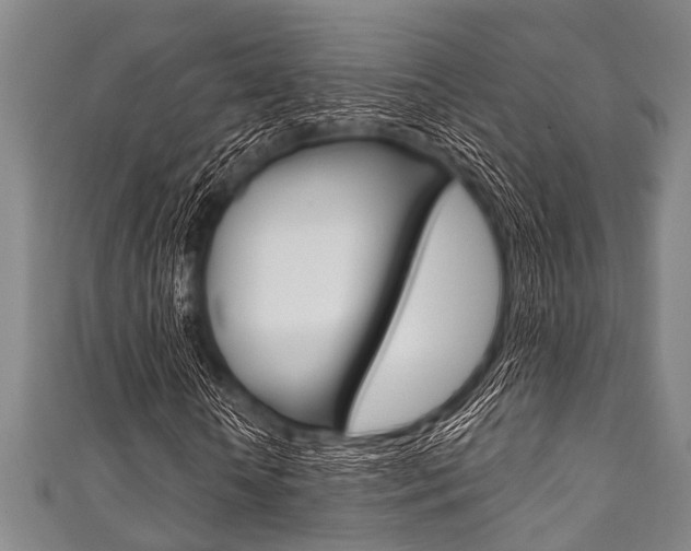 X0000111790818200907230947