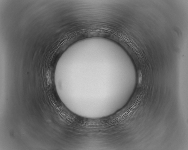 X0000111790819200907230947