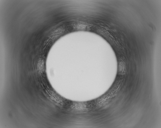 X0000111790820200907230947