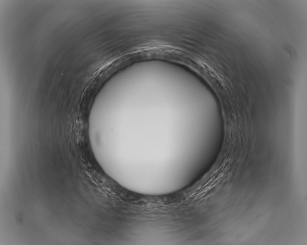 X0000111790822200907230947