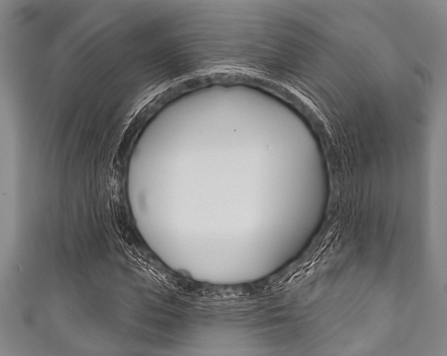 X0000111790823200907230947