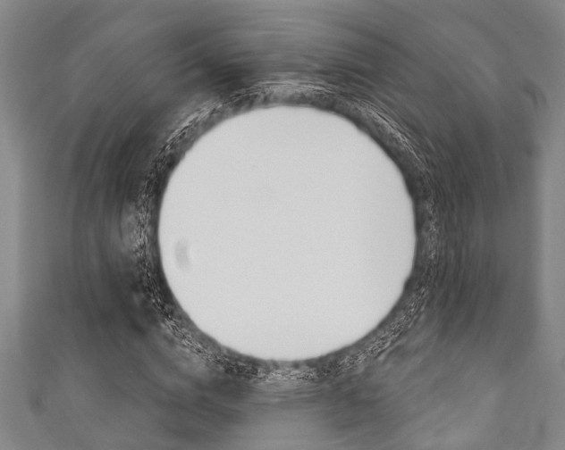 X0000111790824200907230947