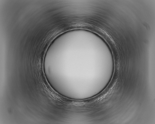 X0000111790825200907230947