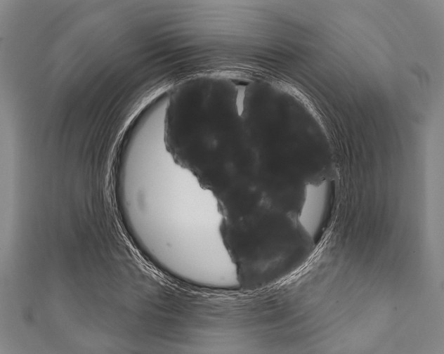 X0000111790827200907230947