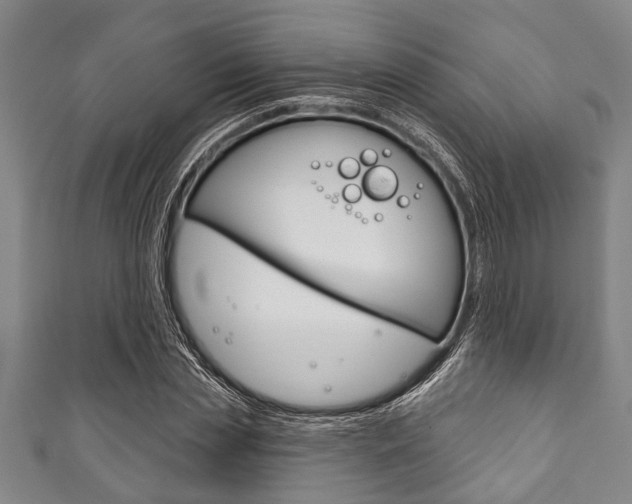 X0000111790829200907230947