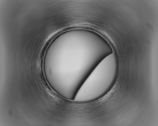 X0000111790830200907230947