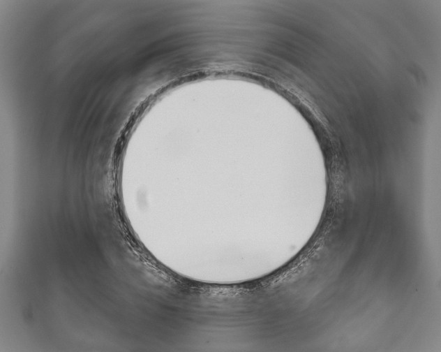 X0000111790832200907230947