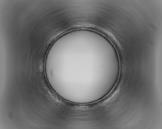 X0000111790833200907230947