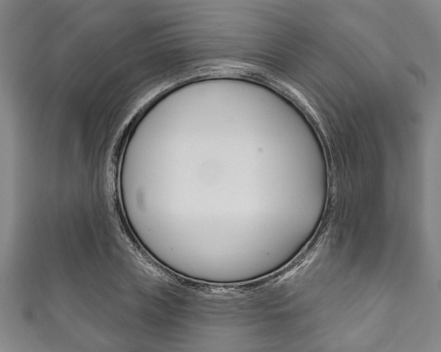 X0000111790835200907230947