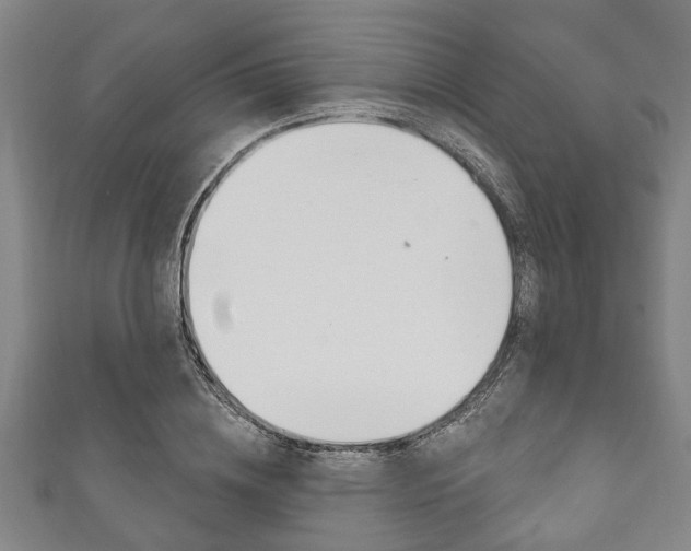 X0000111790836200907230947