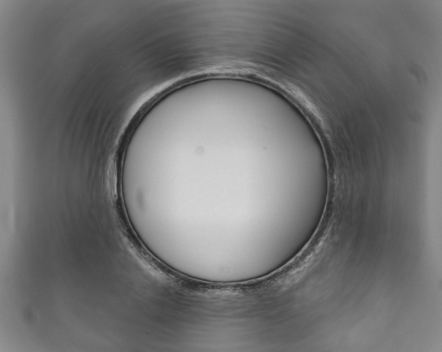X0000111790838200907230947