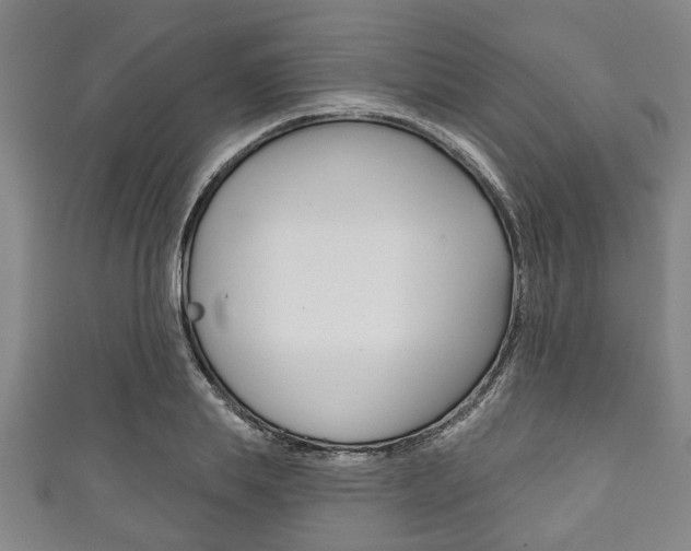 X0000111790839200907230947
