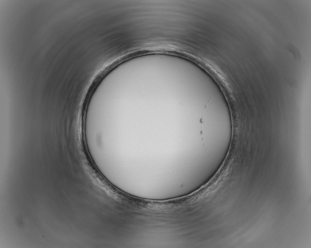 X0000111790840200907230947