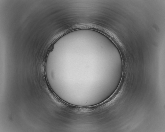 X0000111790841200907230947