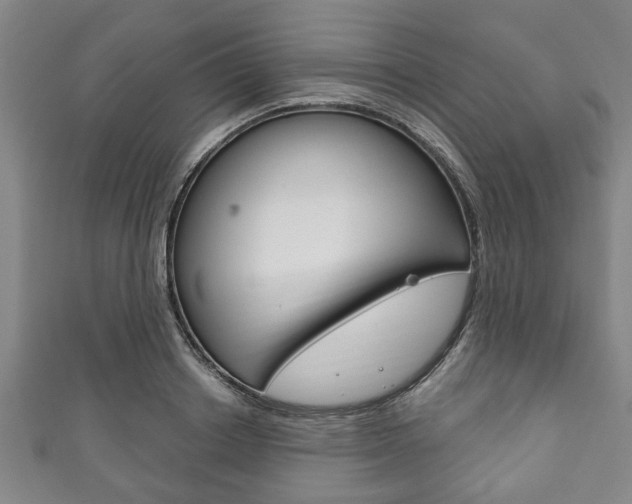 X0000111790842200907230947